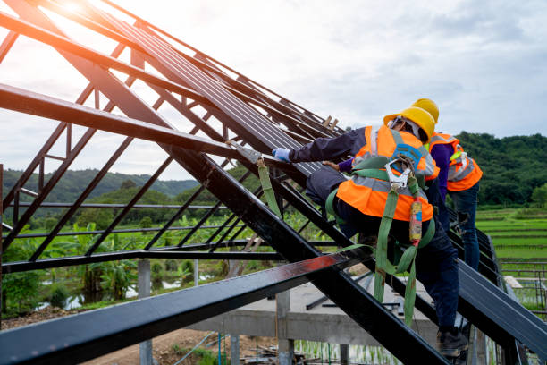 Best Roof Leak Repair  in La Crescent, MN