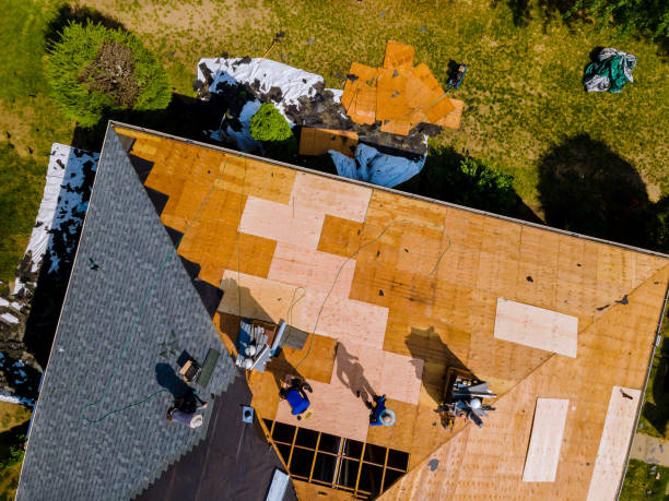 Best Roof Repair Services  in La Crescent, MN