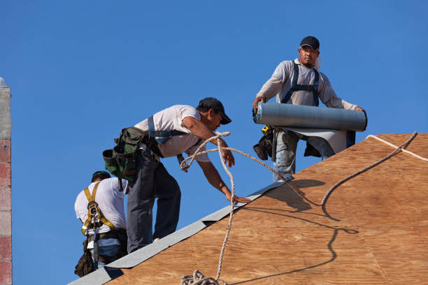 Quick and Trustworthy Emergency Roof Repair Services in La Crescent, MN