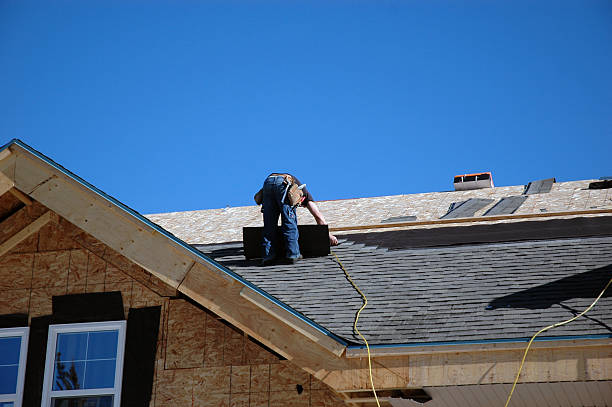 Best Flat Roof Repair Services  in La Crescent, MN