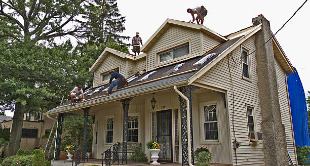 Best Roof Repair Services  in La Crescent, MN