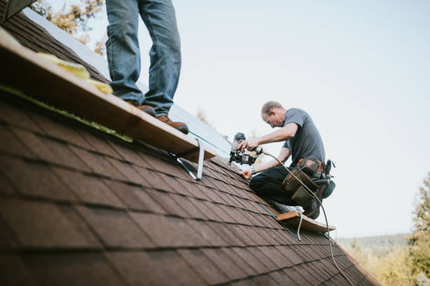 Best Residential Roofing Contractor  in La Crescent, MN